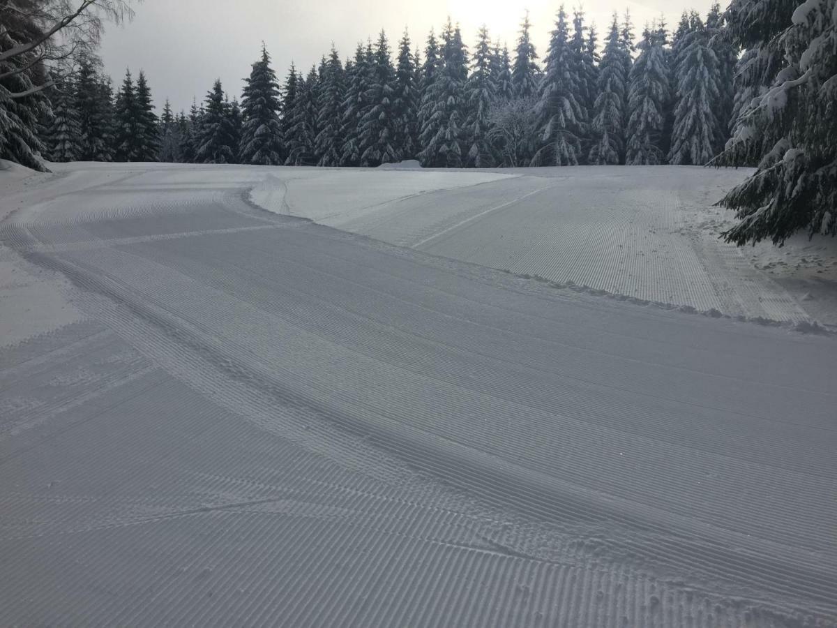 Penzion U Rybníka Mariánská Esterno foto
