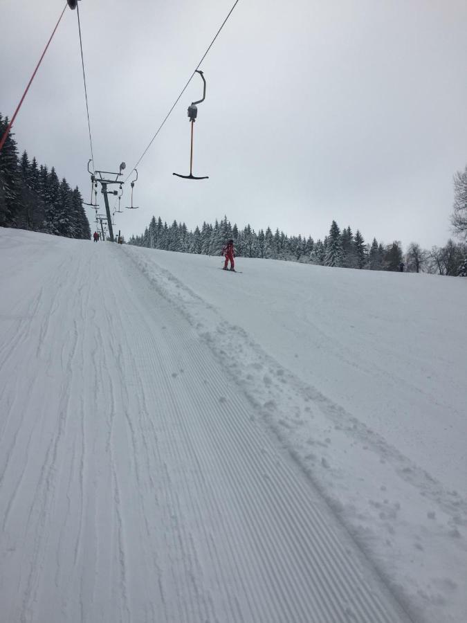 Penzion U Rybníka Mariánská Esterno foto